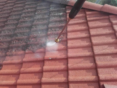 Čištění střech v detailu