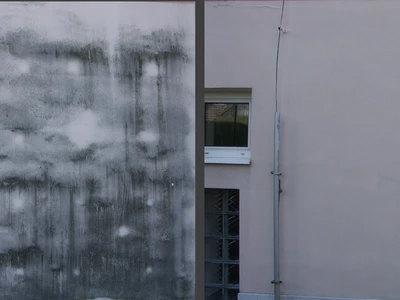 Řasy na fasádě- stav před a po čištění