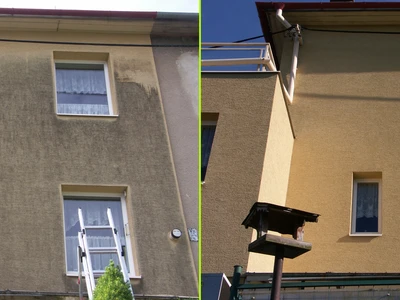 Řasy na fasádě odstraníme rychle a hlavně na dlouho zabráníme jejich dalšímu růstu -  baťovský půldomek.